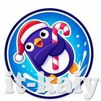 安全登录器
